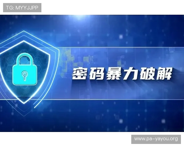 PA平台官方网账号安全保护措施详解，防止账号被盗与信息泄露的实用技巧